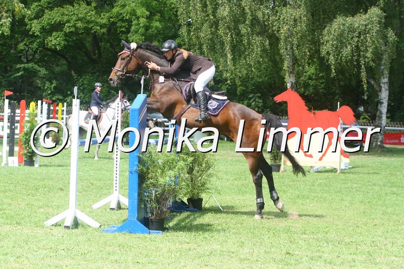 308M9930_Blue Sky_Spring_L.JPG